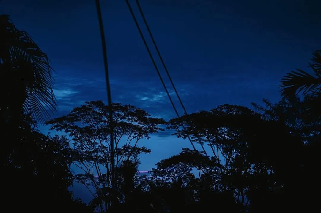 Blue, photograph 2 of 11