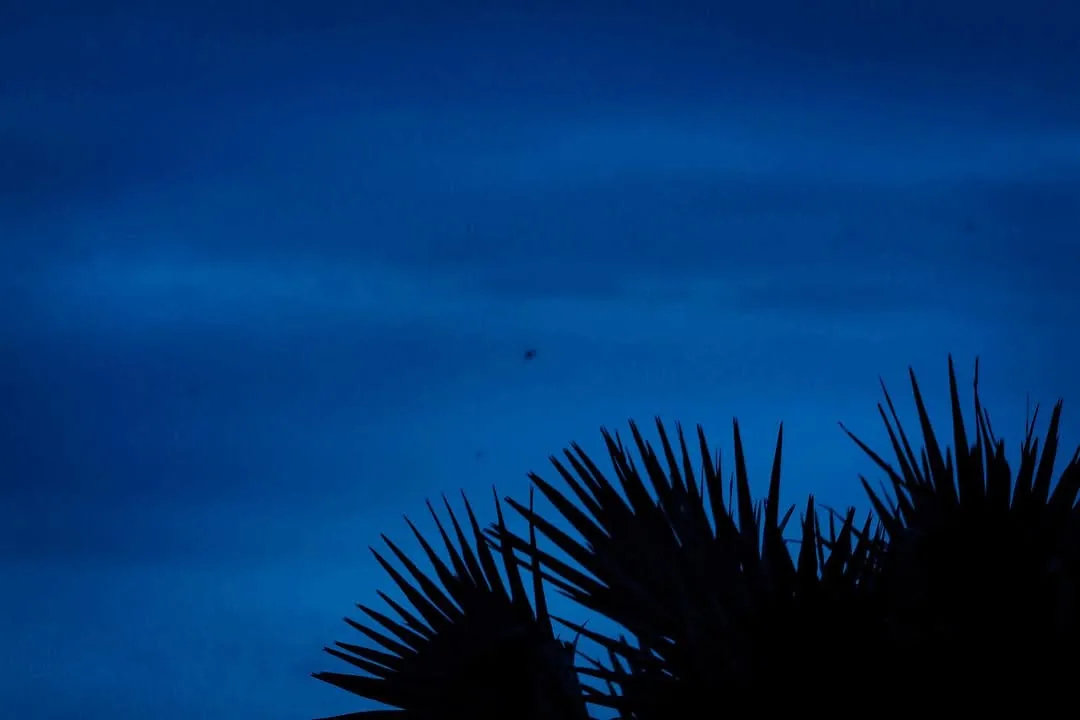 Blue, photograph 1 of 11