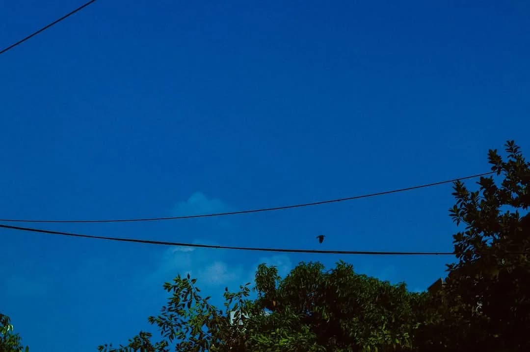 Blue, photograph 7 of 11
