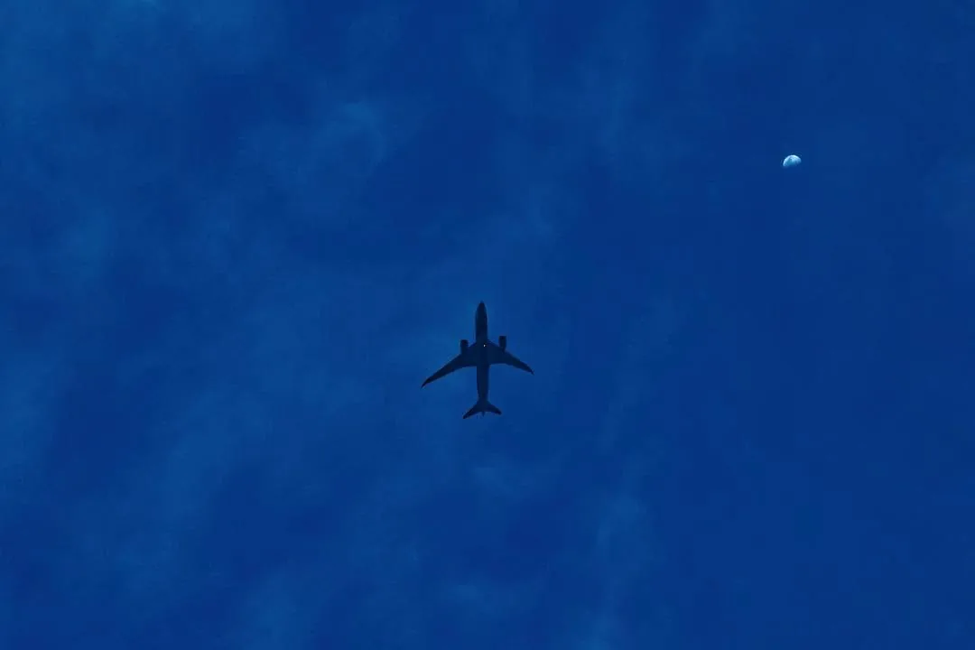 Blue, photograph 10 of 11