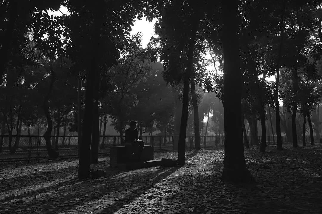 Monochrome, photograph 16 of 16