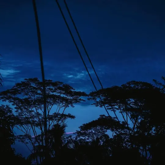 Blue, photograph 2 of 11