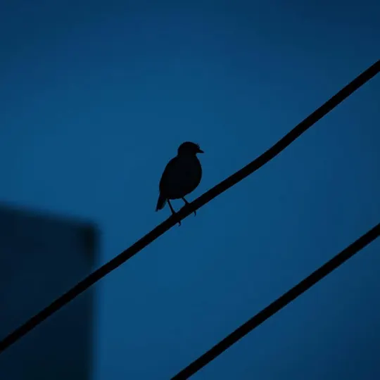 Blue, photograph 5 of 11