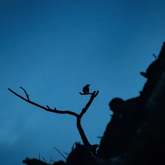 Blue, photograph 6 of 11