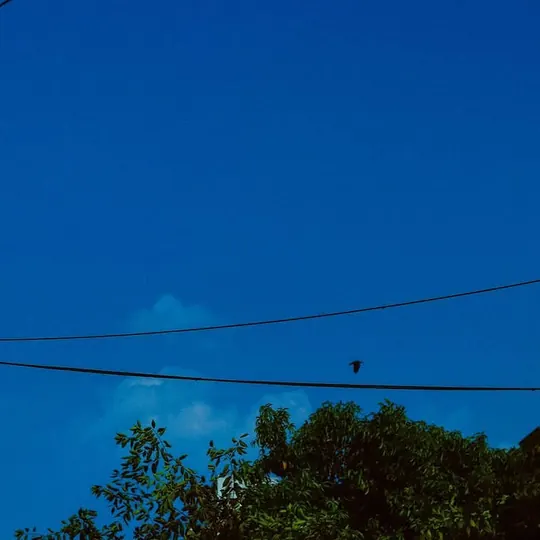 Blue, photograph 7 of 11