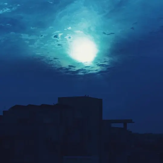 Blue, photograph 9 of 11