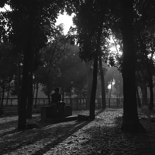 Monochrome, photograph 16 of 16