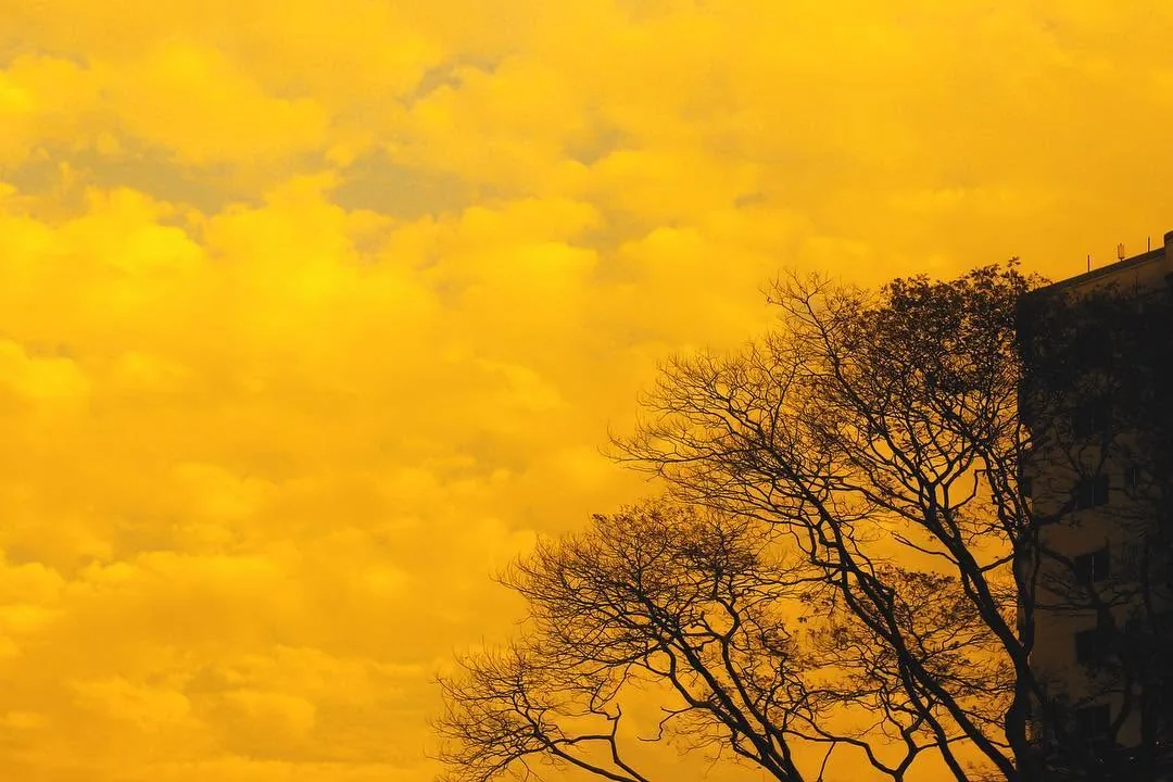 Yellow, photograph 1 of 10